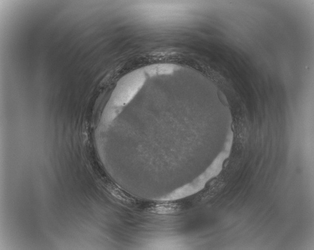 X0000063510758200602172146