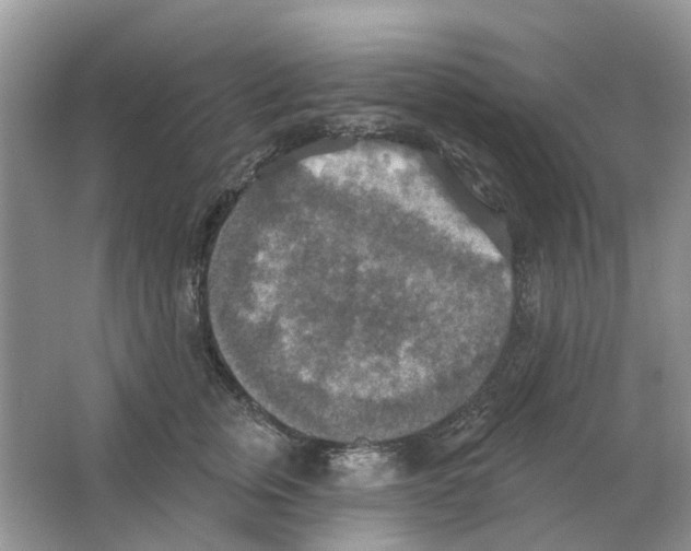 X0000063510759200602172146