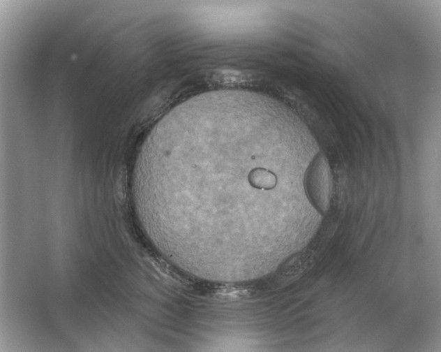 X0000063510760200602172146