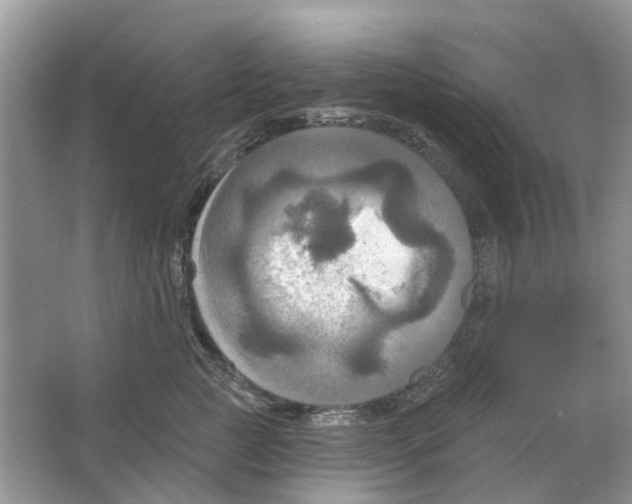 X0000063510761200602172146