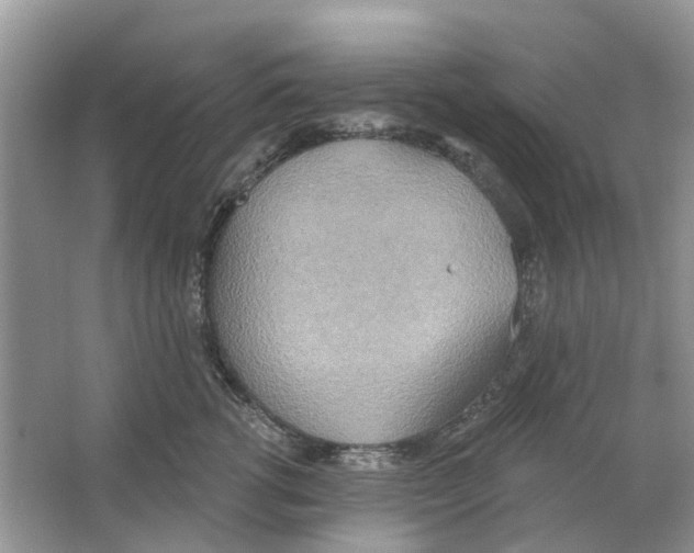 X0000063510762200602172146