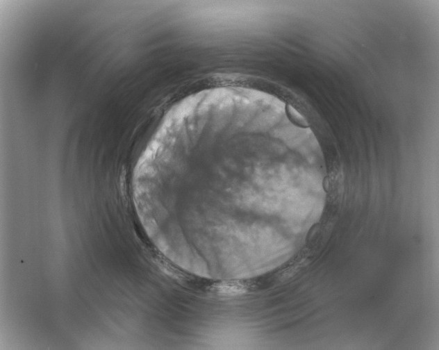 X0000063510765200602172146