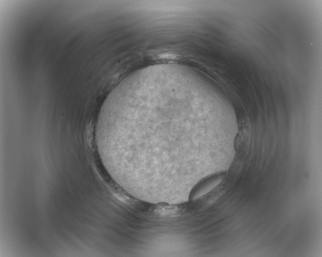 X0000063510767200602172146