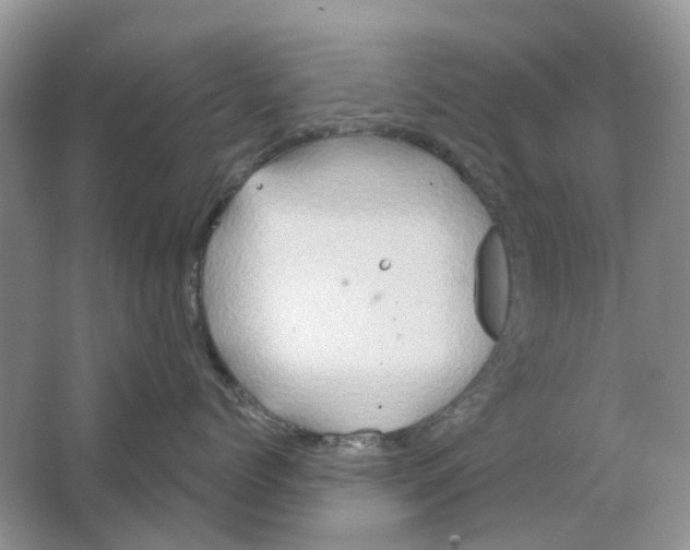 X0000063510768200602172146