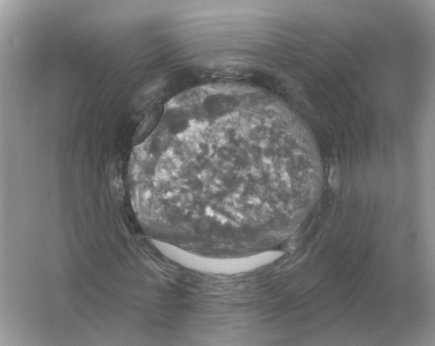 X0000063510771200602172145