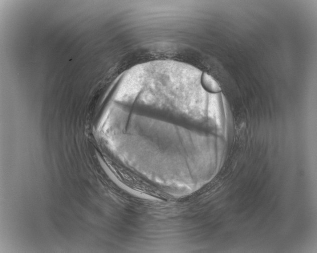 X0000063510772200602172145