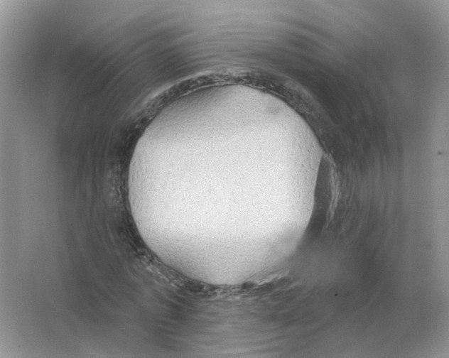 X0000063510773200602172145