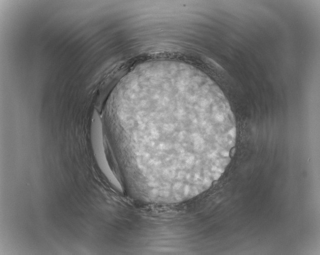 X0000063510774200602172145