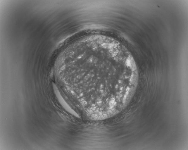 X0000063510775200602172145