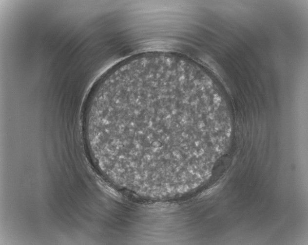 X0000063510779200602172145