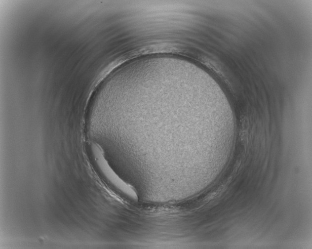 X0000063510786200602172145