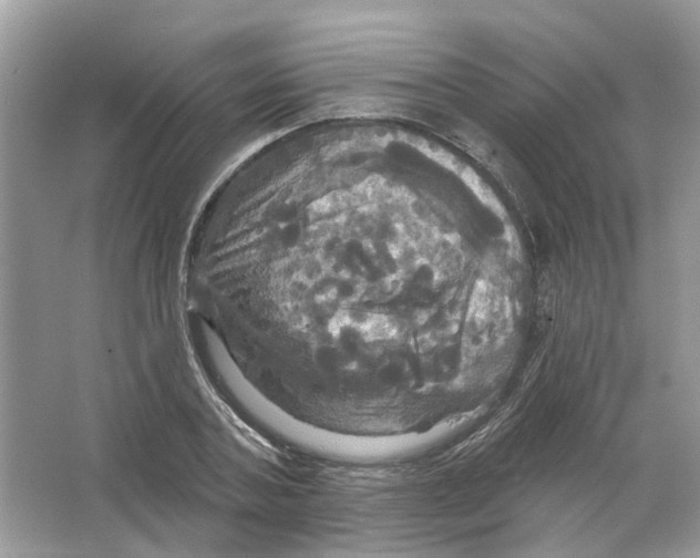 X0000063510787200602172145