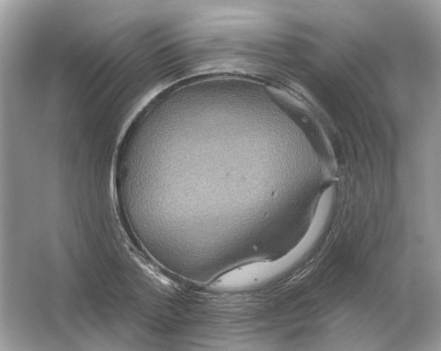 X0000063510788200602172145