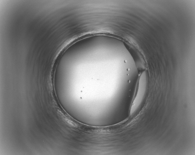 X0000063510789200602172145