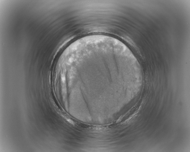 X0000063510790200602172145