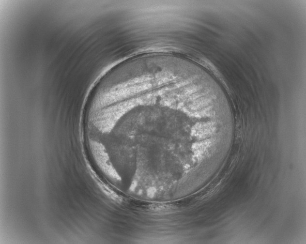 X0000063510795200602172145