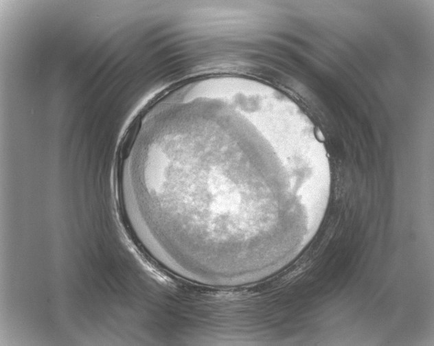 X0000063510796200602172145