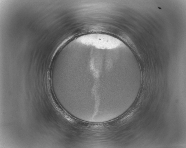 X0000063510798200602172145