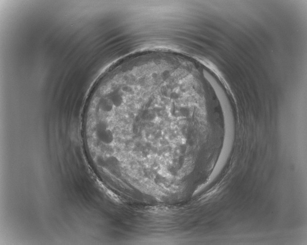 X0000063510799200602172145