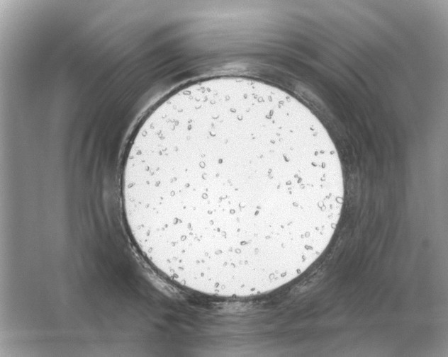 X0000063510800200602172145