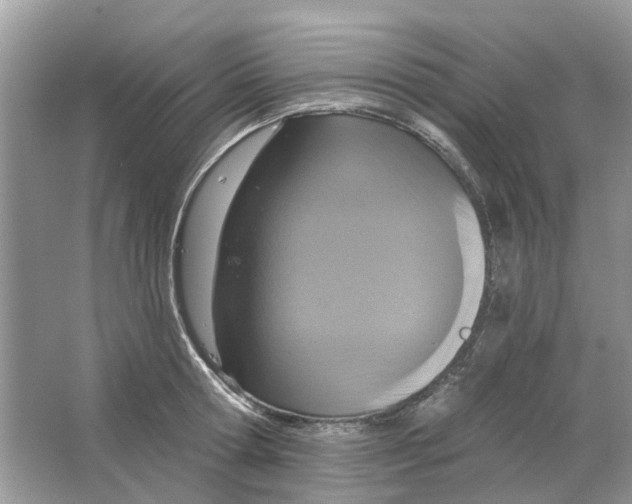 X0000063510802200602172145