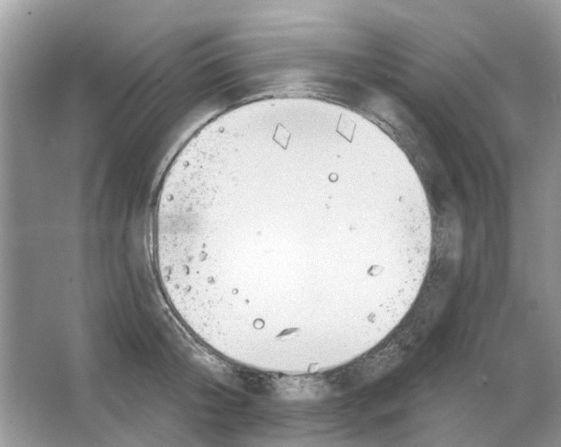 X0000063510804200602172144