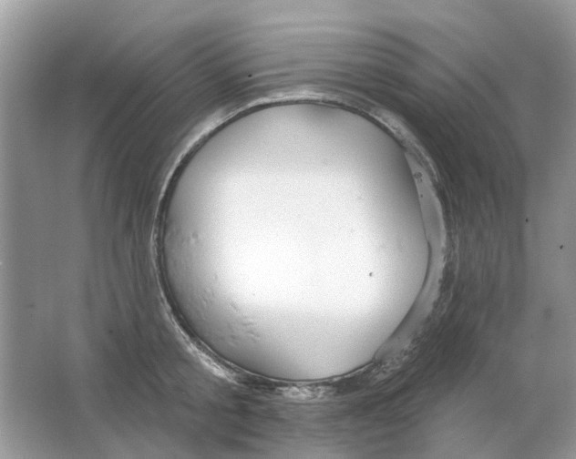 X0000063510805200602172144