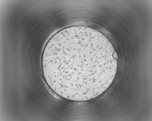 X0000063510808200602172144