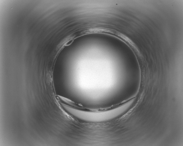 X0000063510809200602172144