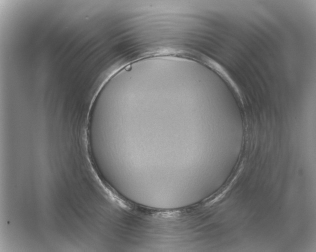 X0000063510810200602172144