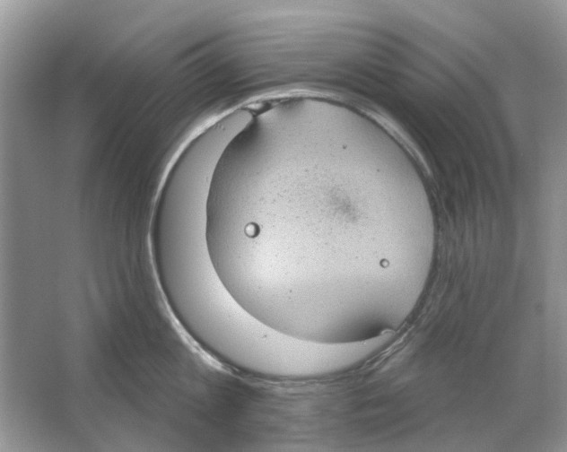 X0000063510813200602172144