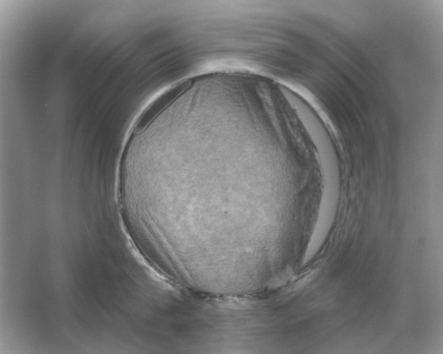 X0000063510815200602172144