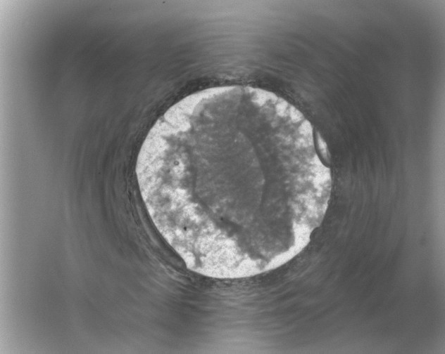 X0000063510817200602172143