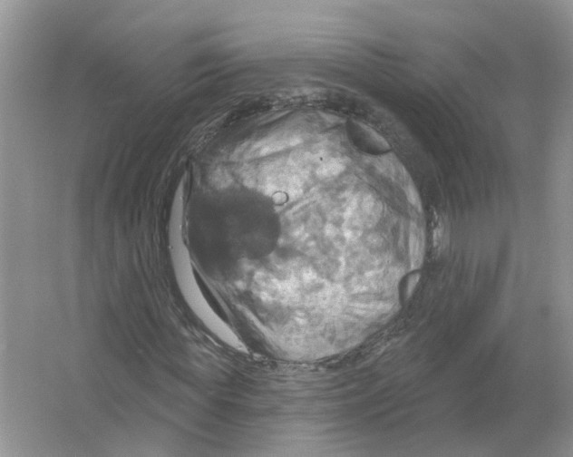 X0000063510819200602172143