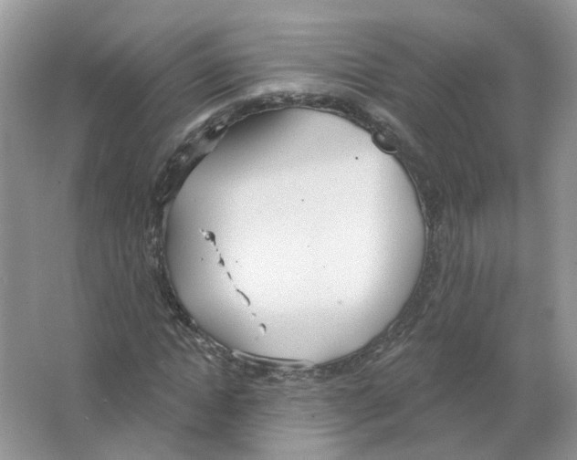 X0000063510822200602172144