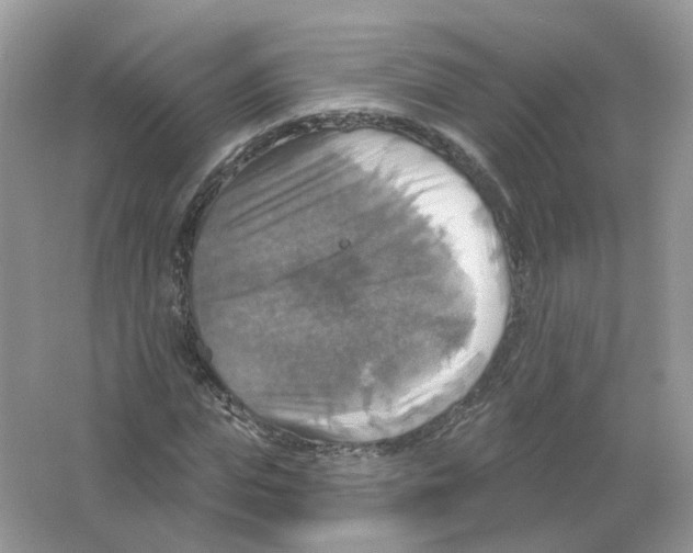 X0000063510823200602172144