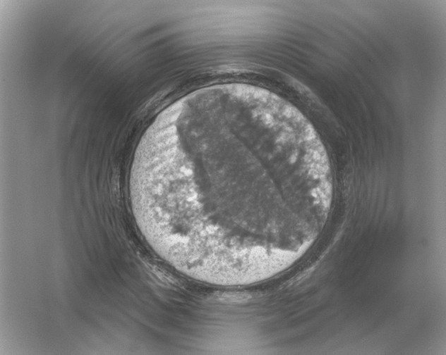 X0000063510825200602172144