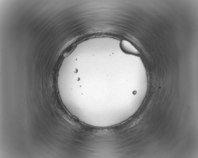 X0000063510826200602172144