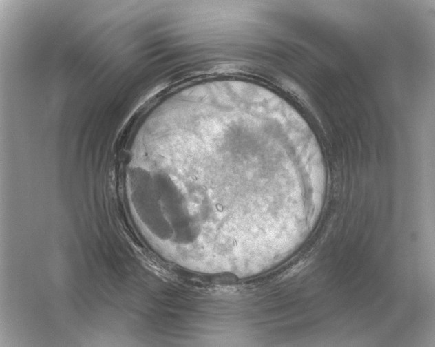 X0000063510827200602172144