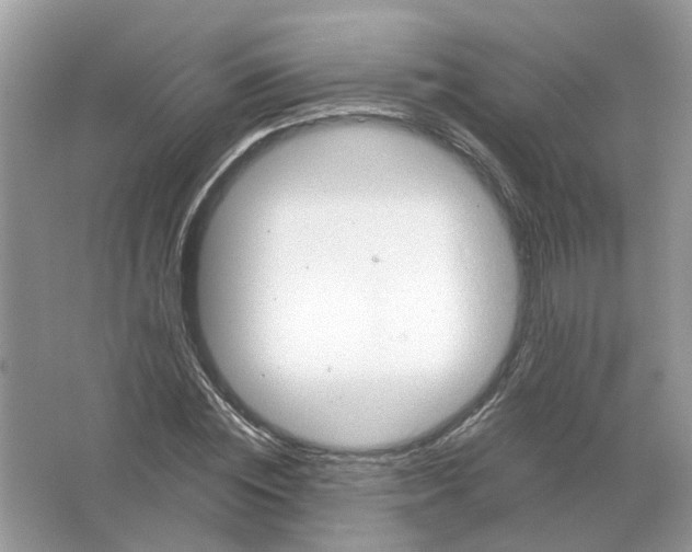 X0000063510828200602172144