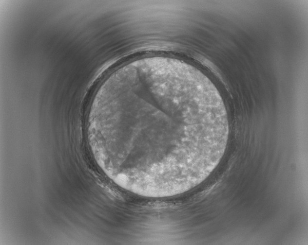 X0000063510829200602172144