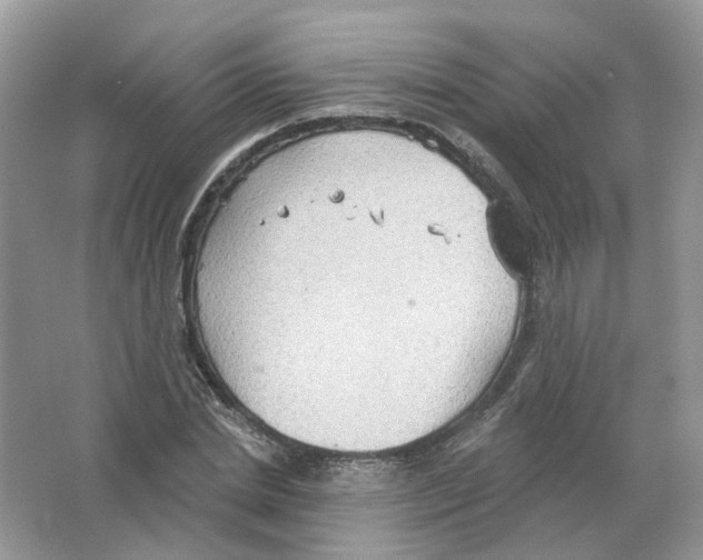 X0000063510830200602172144