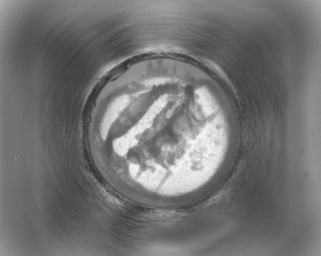 X0000063510831200602172144