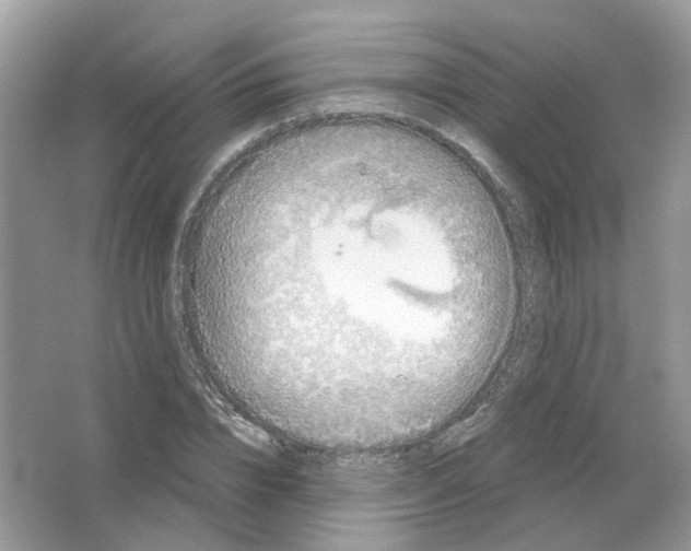 X0000063510832200602172144