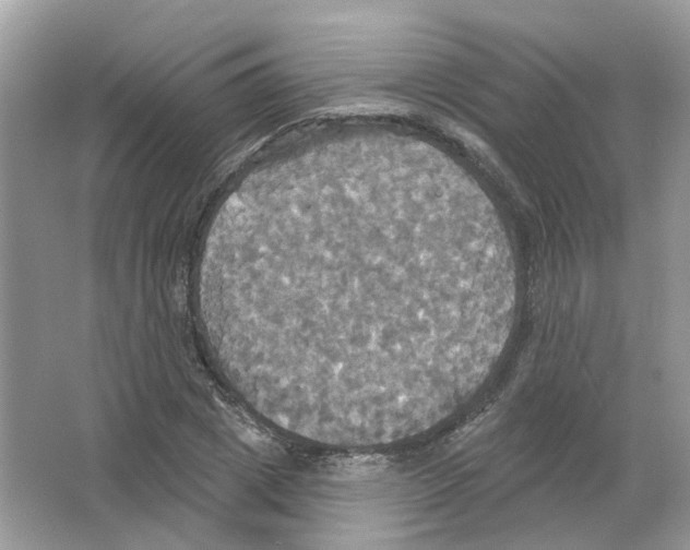 X0000063510833200602172144