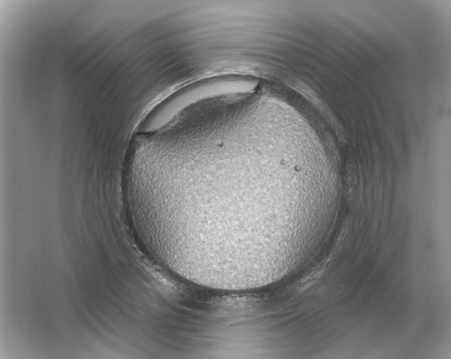 X0000063510834200602172144