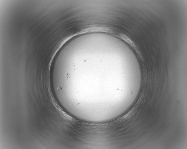 X0000063510836200602172144