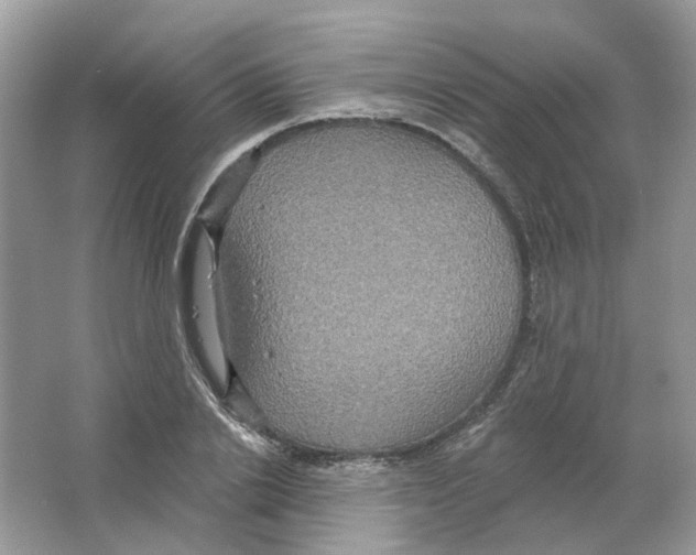 X0000063510838200602172144