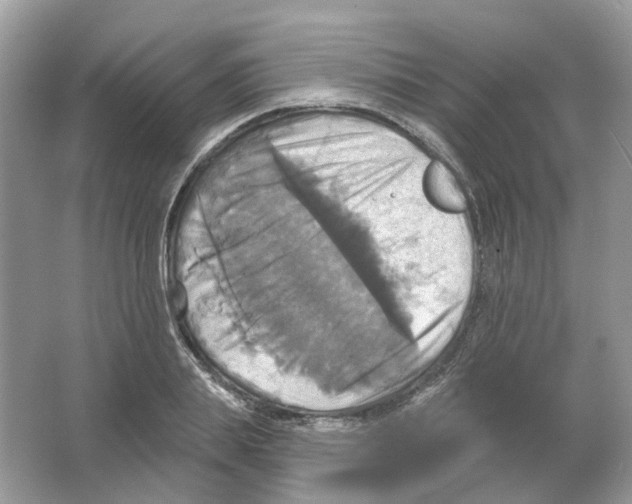 X0000063510839200602172144