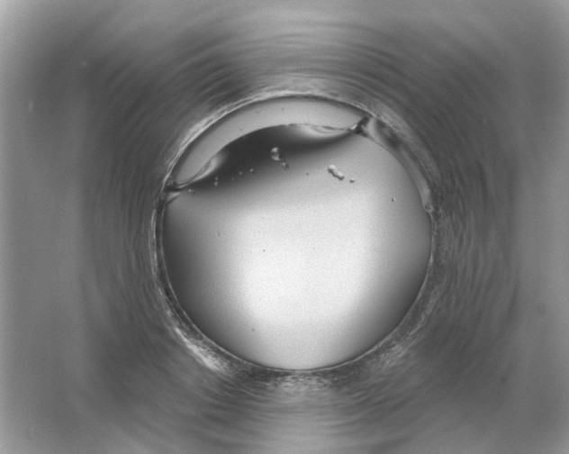 X0000063510842200602172144